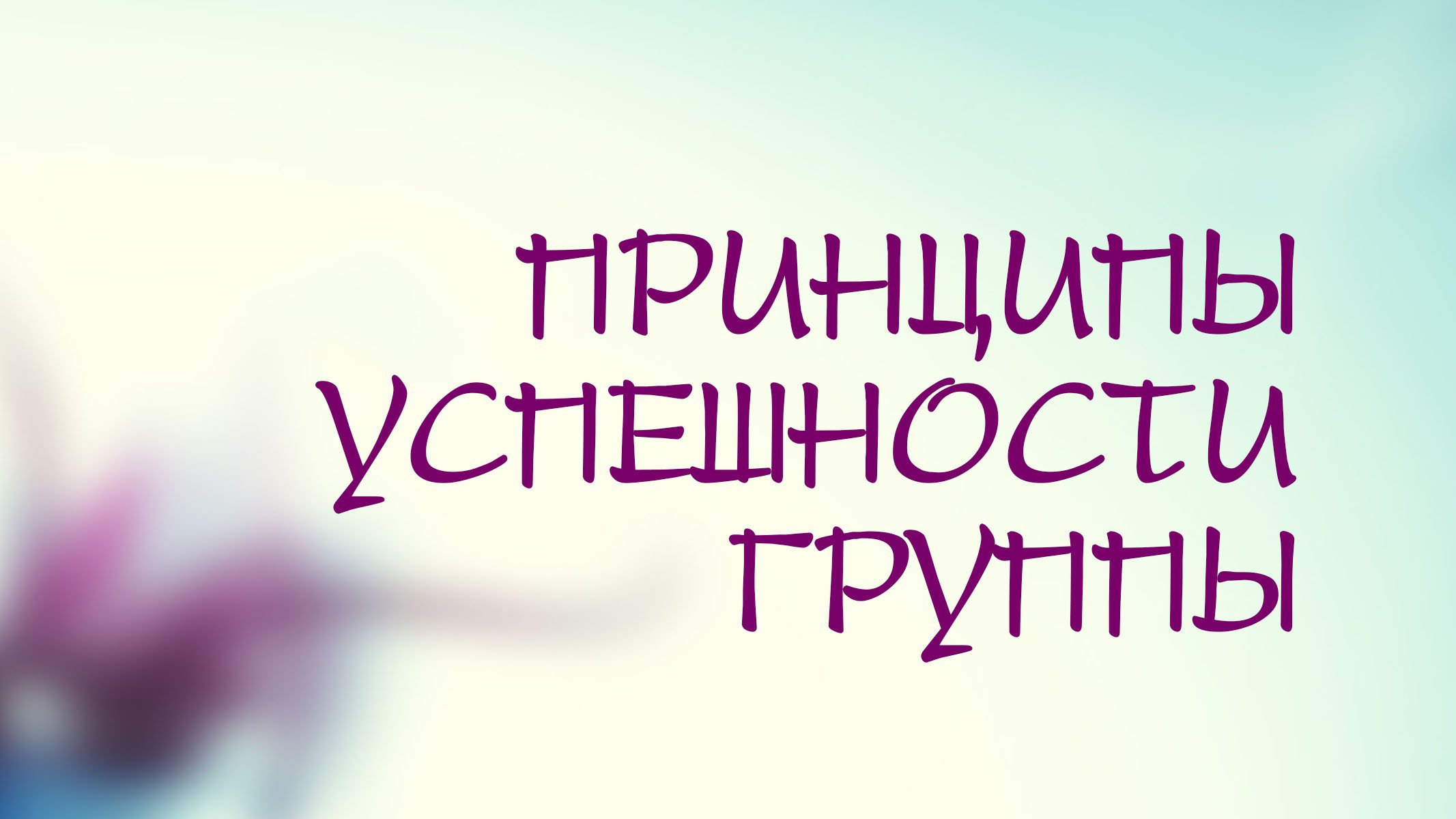 PT208 Rus 19. Душепопечительство в групповой работе. Принципы успешности группы.