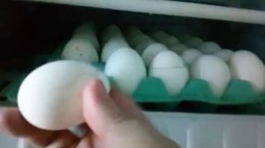 Можно ли яйца хранить в морозильной камере?