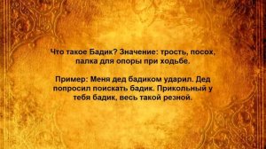 Что такое Бадик