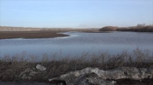 Озёра в Полях