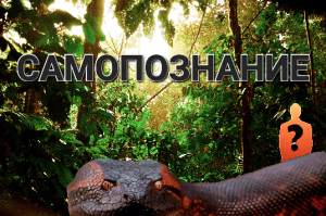 Самопознание I Страшные истории