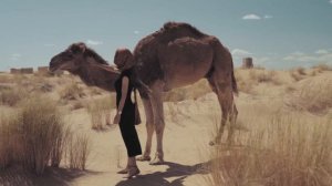 Африка (реклама тур агентству)