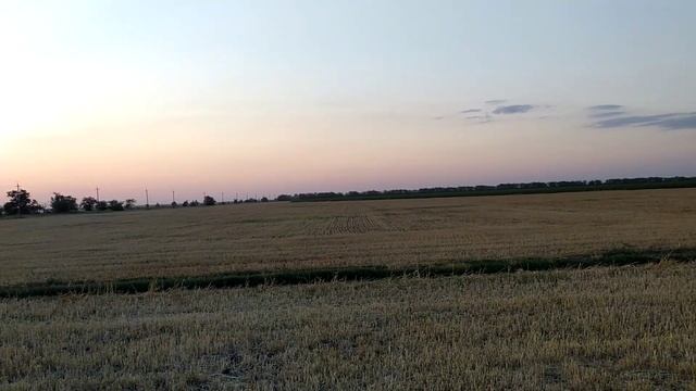 Обработка соняха от совки дельтапланом))26.06.20. смотреть онлайн