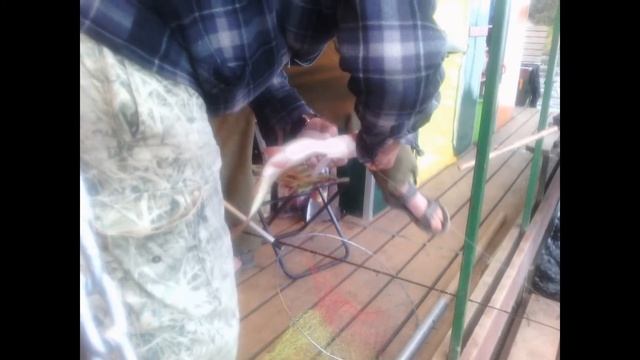 Вятка плот 2015 Аркуль-Шурма смотреть онлайн