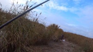 Жор карася в октябре !Я в шоке! Вот это клёв !Морской карась.Рыбалка 2020 в Латвии.