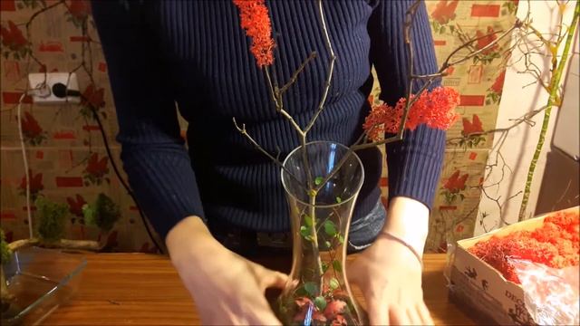 Флорариум креативный. пошаговая инструкция