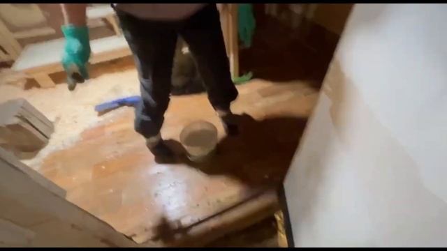 Генеральная уборки и дезинфекция козлятника.