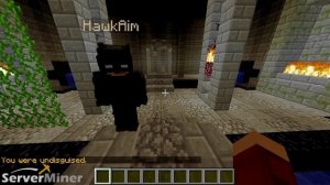 How to wear a disguise in Minecraft with iDisguise Plugin