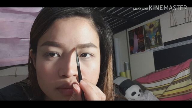 BUSHY EYEBROW