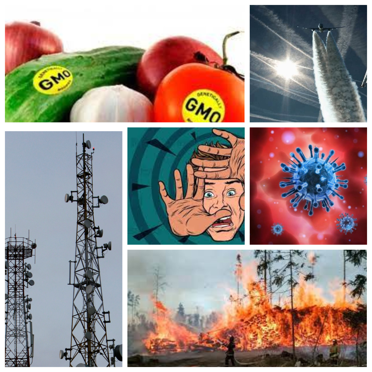 ТЕХНИКА ВЫЖИВАНИЯ 2022 смотреть онлайн