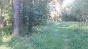 ПРОГУЛКА ПО ЛЕСУ. ВЕДЬМИНА ИЗБА ▶️ ИНГА ХОСРОЕВА.