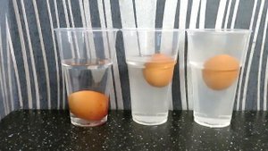 Яйцо плавает и тонет в воде ? Опыты и эксперименты