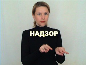 ЖЕСТОВЫЙ ЯЗЫК. СЛОВАРЬ. Надзор
