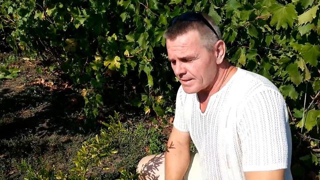 Гранат на даче,легко. смотреть онлайн