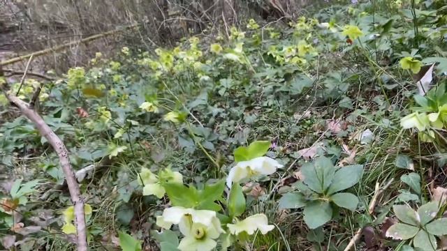 Сочи Весна 2022 смотреть онлайн