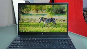 HP PAVILION 15-CW1034UR: КРУТОЙ НОУТБУК НА КАЖДЫЙ ДЕНЬ!