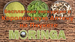 Королевская аптека Moringa на Пхукете. Бесплатная Экскурсия от Пегаса - что ждать?