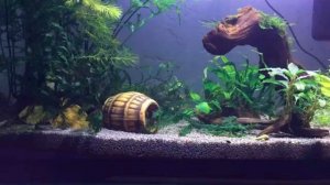 Новый жилец! Любовь или ненависть