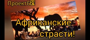 "Африканские страсти" Проект Б21, ДДК им. Д. Н.Пичугина, Новосибирск, 2024.