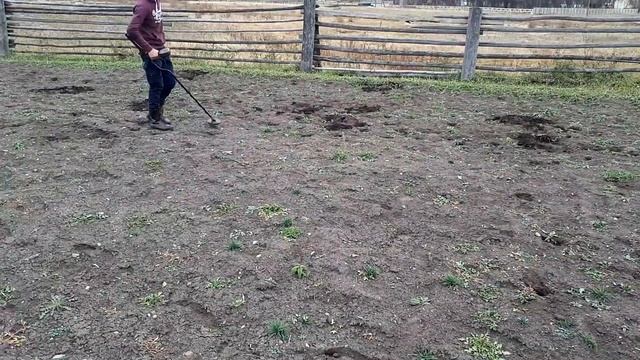 #20_kg_monet_kajdomy. Удачный коп с MINELAB E-TRAC в Забайкальском крае смотреть онлайн