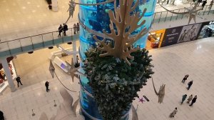 обзор большого аквариума