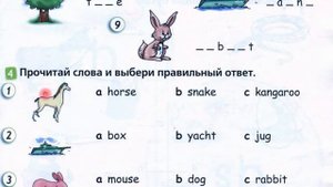 2 класс  Английский язык  Англ  в фокусе  Домашнее задание страница 10, 11, 12, 13