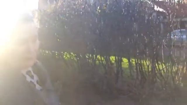 О бесплатных продуктах и как я переехала в Финляндию смотреть онлайн