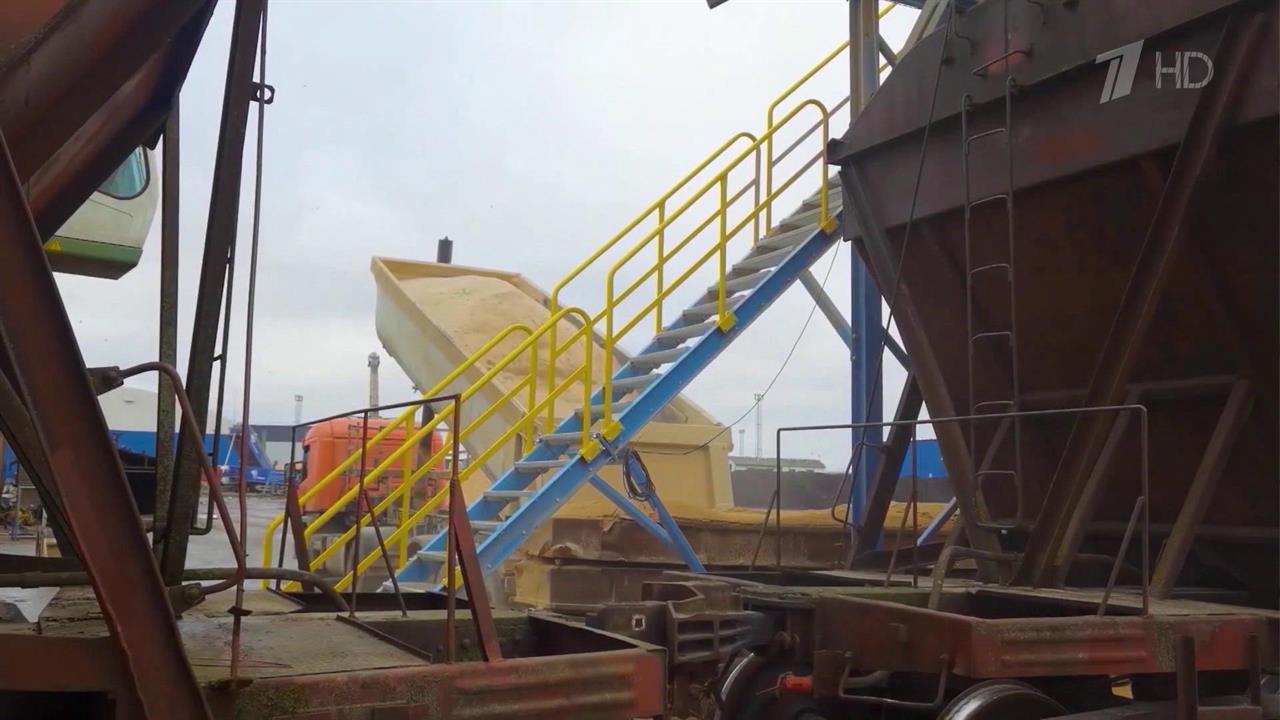 Киев подает иск в ВТО из-за эмбарго на ввоз украинского зерна