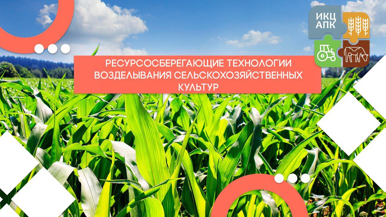 Запись семинара от 28 сентября 2022 года