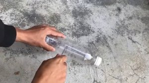 Как размножить розы в воде