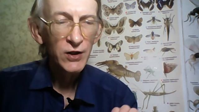 Какие Жуки Долгоносики Вредят и Кто Их Паразиты? Спроси Ученого Энтомолога.