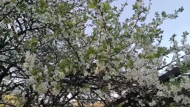 Болельщики на улицах Тампере, Как отдыхают? Чемпионат по Хоккею 2023, Как одеты люди в Финляндии? смотреть онлайн