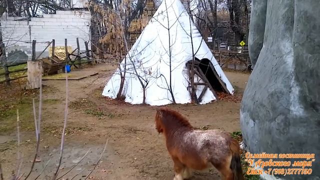 Экскурсия в зоопарк "Сафари Парк" Краснодар