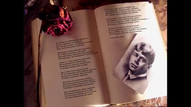 Ты меня не любишь, не жалеешь (Сергей Есенин, читает Паша Севостьянов) смотреть онлайн