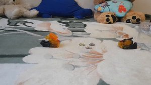 мой первый обзор про фьюжн макс