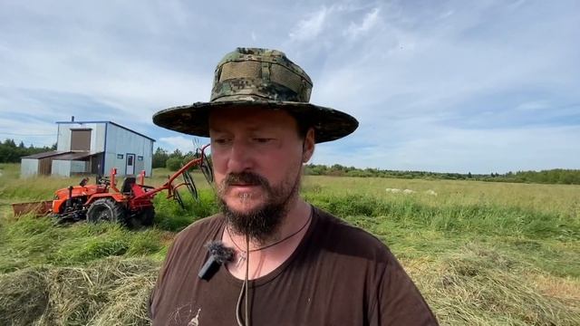 Сенокос в скиту смотреть онлайн