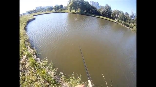 Техника проводки джеркбейтов Nimmer Swimmer Battle Hatche AX