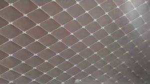 обзор газель Next