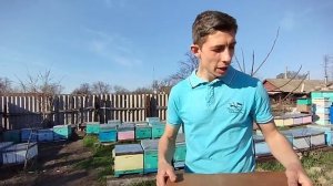 Бюджетная рамочная кормушка своими руками ??