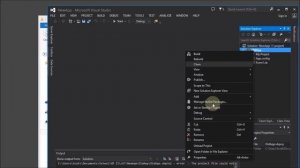 Copying a Project in Visual Studio