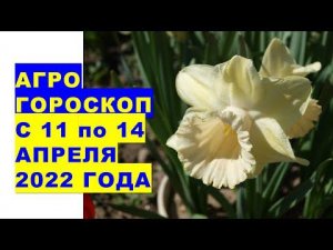 Агрогороскоп с 11 по 14 апреля 2022 года