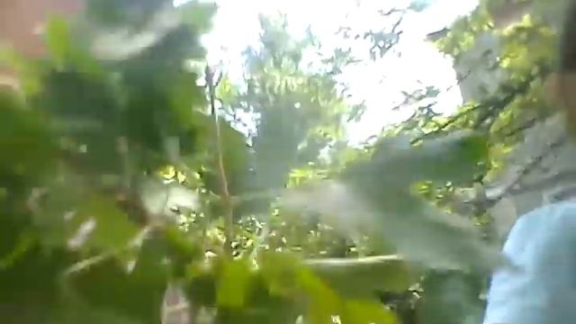 Иду на улицу в ночнушке