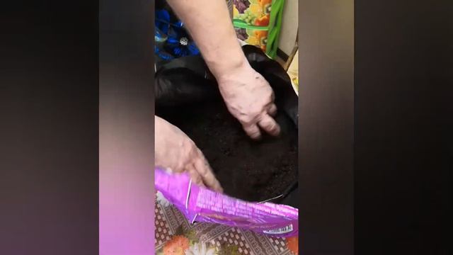 Обзор грунта для рассады купленного в магазине Маяк.