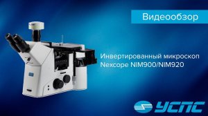 Обзор инвертированного микроскопа Nexcope NIM900