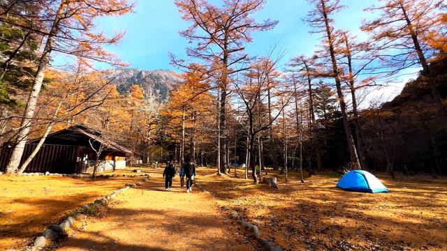 Visit Japan's most beautiful fall foliage viewing spot🤩kamikochi#traveljapan. смотреть онлайн