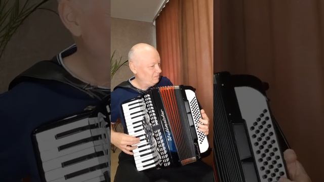 "Il tempo se ne va" Тото Кутуньо (cover instrumental accordion) смотреть онлайн