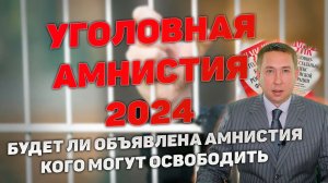 Уголовная амнистия 2024 года. Кого могут освободить по амнистии