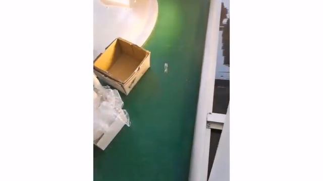 Comparison 50W All in one Solar Street Light CT 3000K & 6500K смотреть онлайн