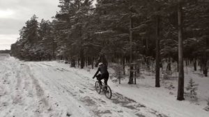 Первый день зимы.