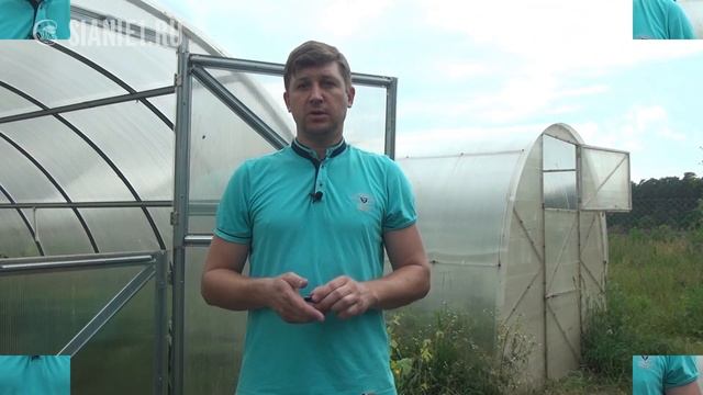 Необычное внекорневое питание растений в теплице (углеродная таблетка) смотреть онлайн